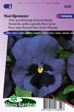 Violet, Pansy Ullswater (Viola wittrockiana) 160 seeds SL